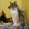 Отзыв от Алевтина Матвеева